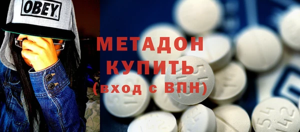 прущие грибы Аркадак
