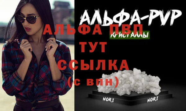 гидра Арсеньев