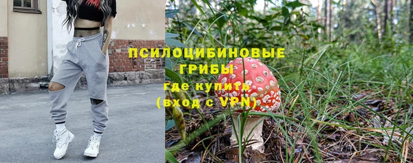 прущие грибы Аркадак