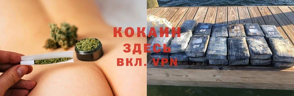 гидра Арсеньев