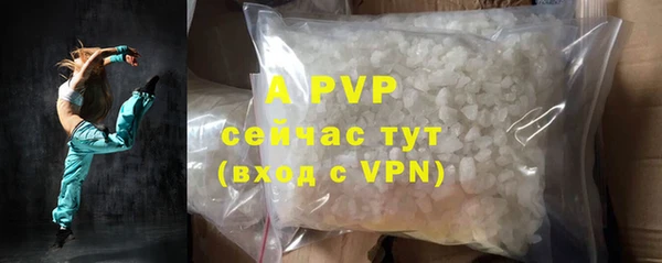 прущие грибы Аркадак