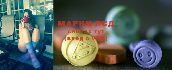 гидра Арсеньев