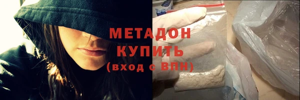 прущие грибы Аркадак