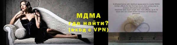 прущие грибы Аркадак