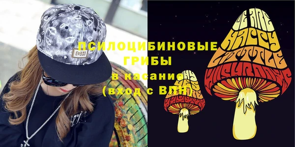 метадон Армянск
