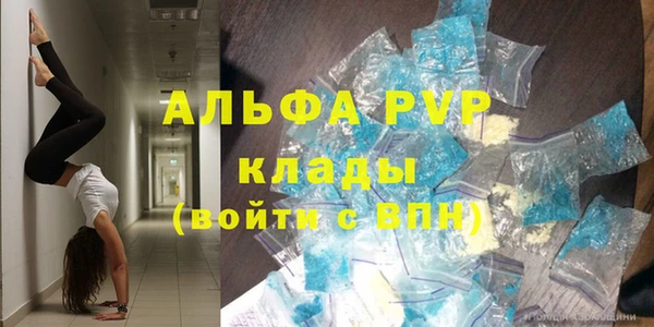 гидра Арсеньев