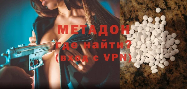 прущие грибы Аркадак