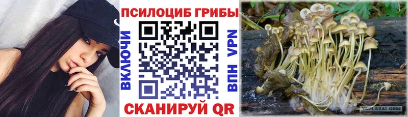 Купить где  Котово  Галлюциногенные грибы мухоморы 